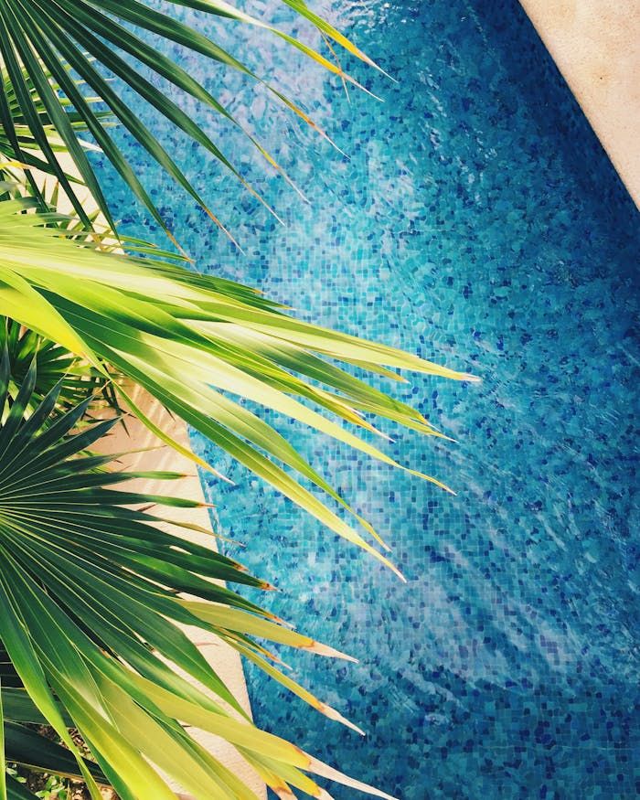 Aerial view of a sparkling blue swimming pool