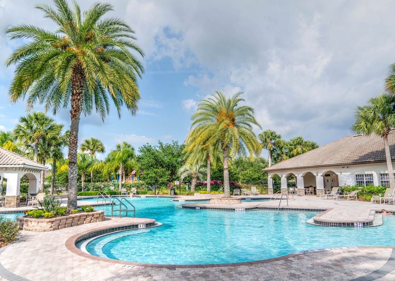 A swimming pool near a palm tree